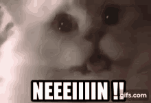 1754928766983.gif