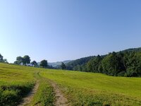 IMG_20250814_085433.jpg