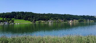 20250813_121951.jpg