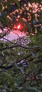 20250815_061508.jpg