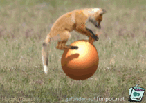 funpot0000040268.gif