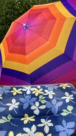 A56C4D65-2B69-4FBE-AB1A-EE57C6E6373A.jpeg