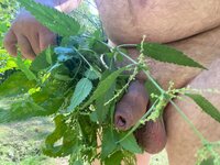 IMG_5923.jpg IMG_5923.jpg