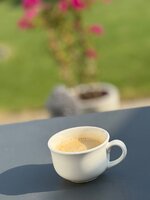 IMG_9305.jpeg