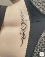 1755334676348.png 1755334676348.png