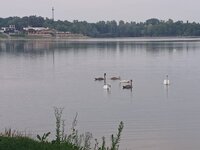 20250816_193658.jpg 20250816_193658.jpg