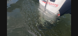 IMG_9002.png IMG_9002.png