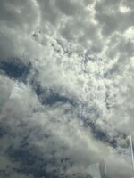 IMG_9315.jpeg