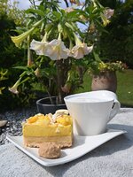 Kaffee-1708-1.jpg