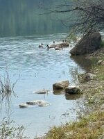 IMG_9501.jpeg