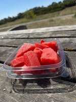 IMG_9336.jpeg