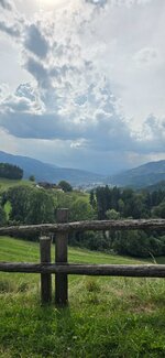 20250820_160730.jpg