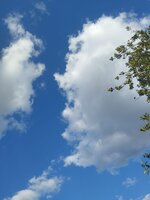 20,08-08-20 um 18.57.22_80cf8c62.jpg