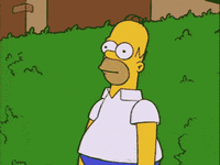 1755788319125.gif