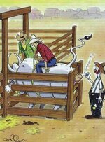 image007 (59).jpg