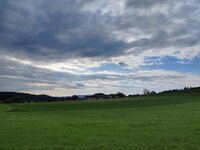 IMG_20250823_171600.jpg