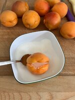 IMG_0869.jpeg
