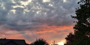 20250824_194839.jpg