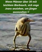 1c874173ed447fc7373b0ab96913f7cb8156.jpg