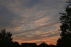 DSC_6516.jpg