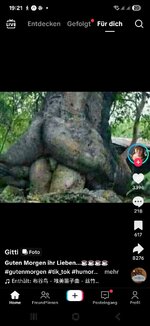 Screenshot_20250827_192117_TikTok.jpg