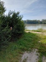 20250828_095844.jpg