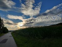 IMG_20250808_192859.jpg