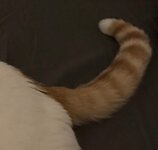 IMG_5096.jpeg IMG_5096.jpeg