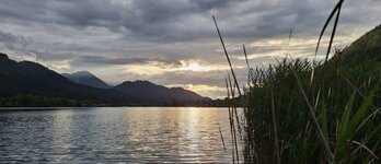 20250830_190141(1).jpg