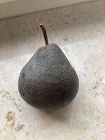 IMG_2111.jpeg