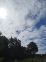 30,0825-08-31 um 11.39.00_b041fc0c.jpg