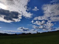 IMG_20250831_164313.jpg