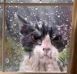 Guten Morgen Scheiss Wetter heute.jpg