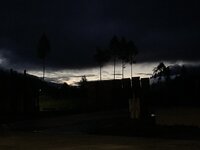 IMG_8051.jpeg