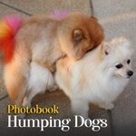 Humping 2.jpg