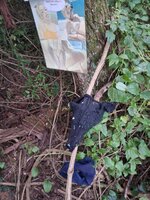 WhatsApp Bild 2025-09-05 um 10.15.55_e59123d3.jpg