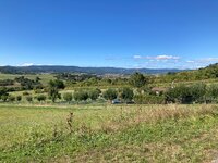 IMG_2138.jpeg