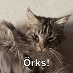 1757239543130.gif