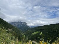 IMG_6558.jpg