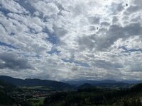 IMG_6555.jpg