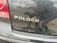 Poloch.jpg