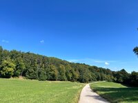 IMG_4451.jpeg