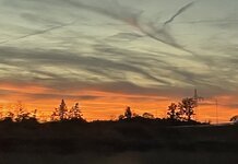IMG_3928.jpeg