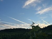 IMG_2461.jpeg