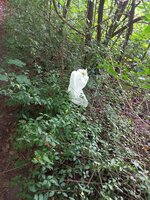 20250903_183738.jpg