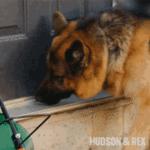 1757407063129.gif