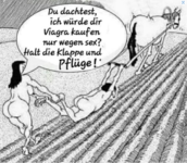 Screenshot 2023-06-11 193046.png