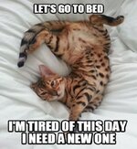 Gute Nacht 347a83dab31a8.jpg