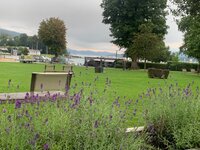 IMG_5160.jpeg