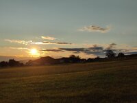 IMG_20250911_185135.jpg